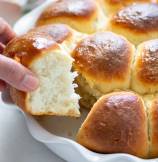 Soft No-Knead Dinner Rolls 