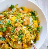 Coconut Cashew Curry Chicken and Rice with Mango