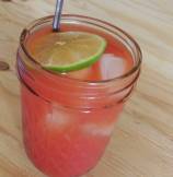 Skinny Citrus Tomato Punch