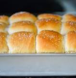 The Best Parker House Bread Rolls from Omni Parker House Rolls