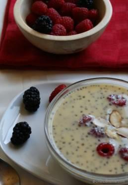 Berry Chia Pudding