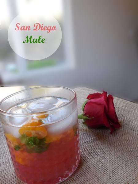 San Diego Mule