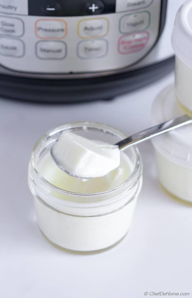 Instant Pot Yogurt Recipe