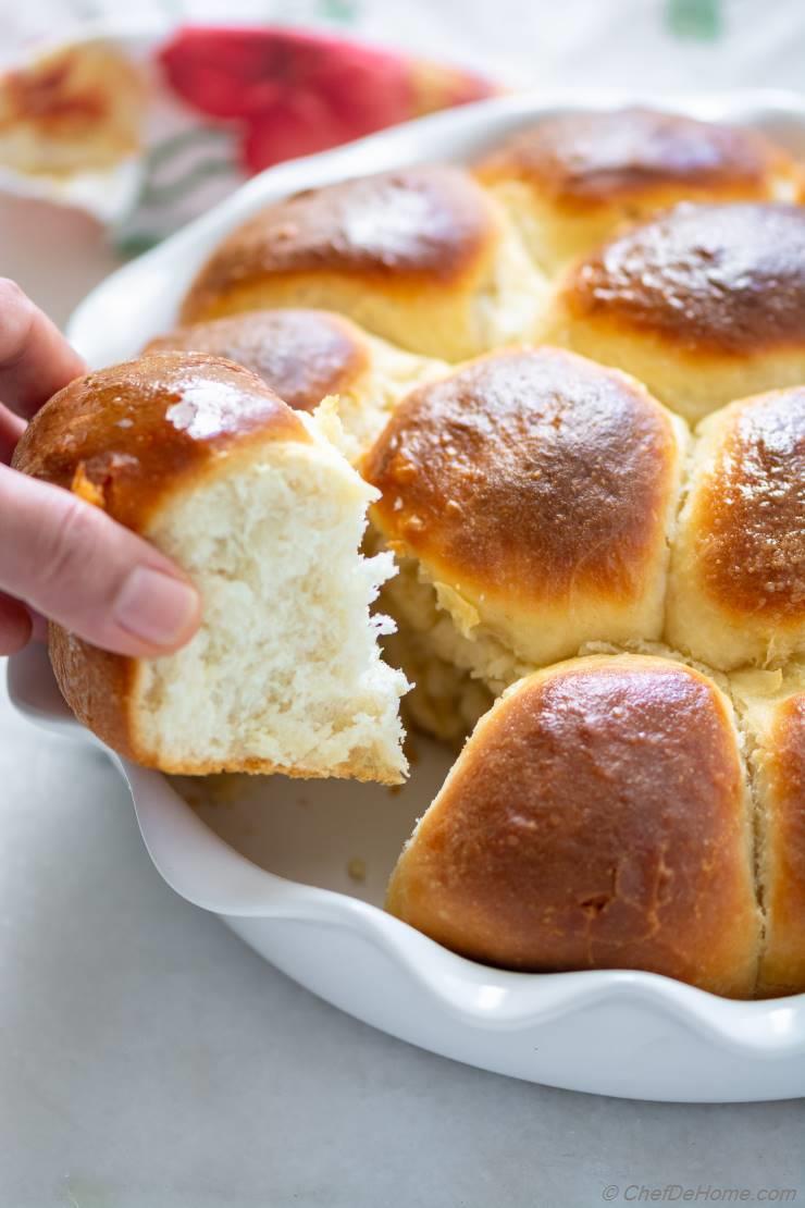 Soft No-Knead Dinner Rolls 