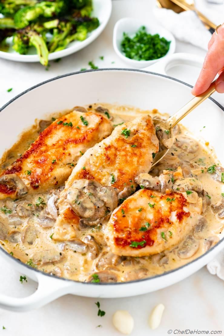 Chicken Mushroom Cream Sauce