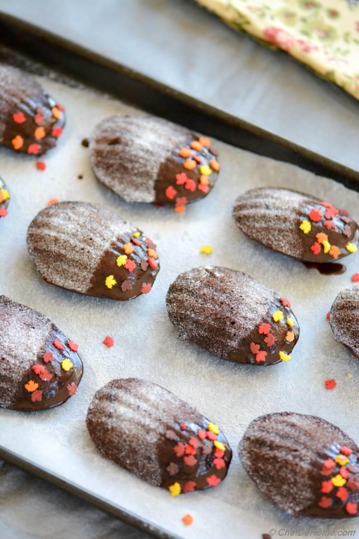 Chocolate Cranberry Madeleine Cakes