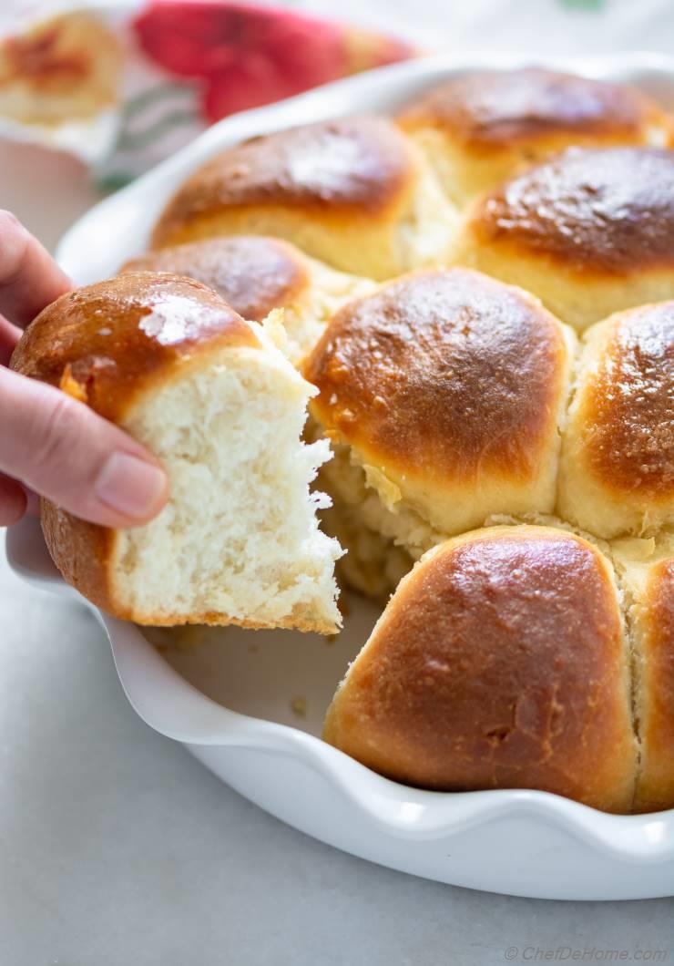 instant pot no knead dinner rolls