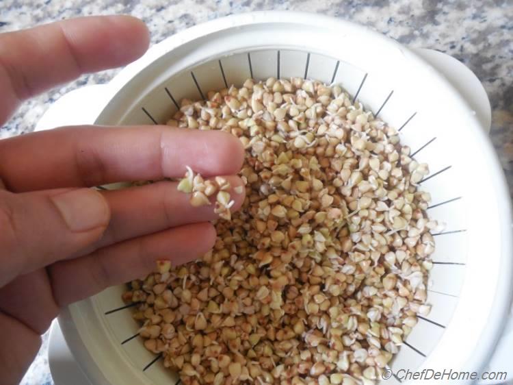 Sprouted Buckwheat - Step 1