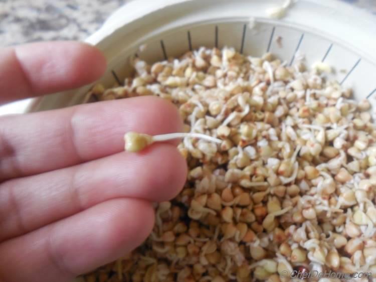 Sprouted Buckwheat - Step 2