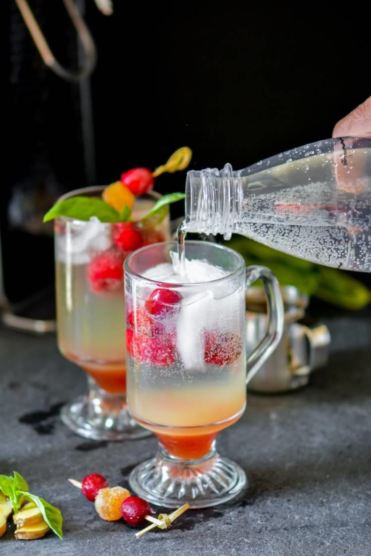 Cranberry Moscow Mule with Sparkling Homemade Ginger Ale | chefdehome.com