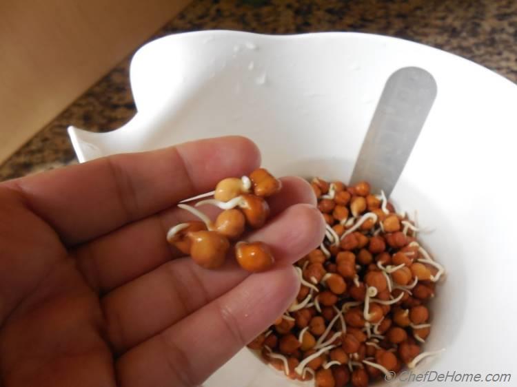 Homemade Sprouted Chickpeas | chefdehome.com