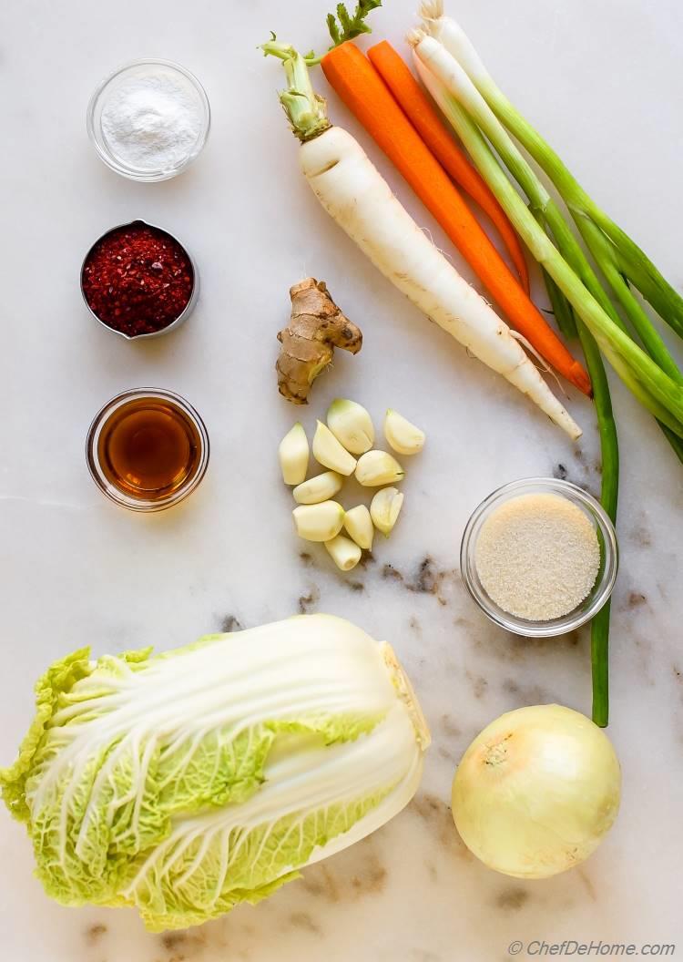 Ingredients for Kimchi