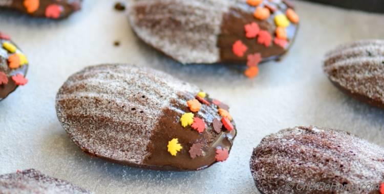 Chocolate Cranberry Madeleine Cakes